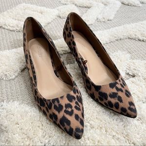 Leopard Heel Pumps